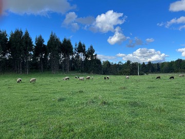Terreno en venta en loteo exclusivo a 25 minutos de villarrica (174801), Villarrica
