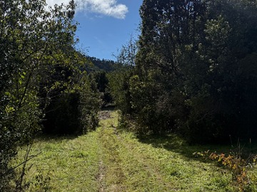 Terreno Forestal en venta en Bellavista, Fresia
