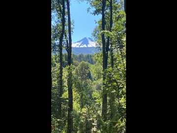 Venta / Terreno / Temuco