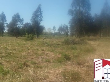 Parcela en venta en camino negro, Linares