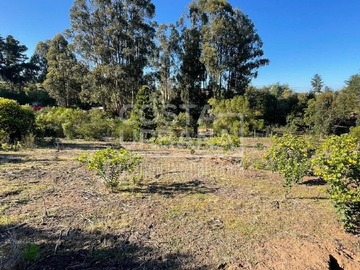 Terreno en venta en Llanquihue, Concón
