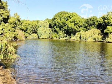 Sitio en venta en Capellania m lt.B 31, Cauquenes