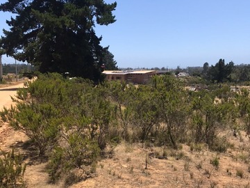 Parcela en venta en Antes de ingresar a algarrobo, Algarrobo