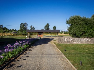 Parcela en venta en Ruta u-55-v, Osorno
