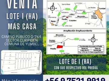 Venta / Terreno Agricola / Yumbel