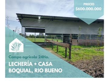 Venta / Departamento / Río Bueno
