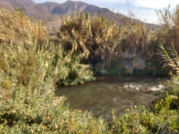 Parcela en venta en El Almendral, Ruta 41, Vicuña, Chile, Vicuña
