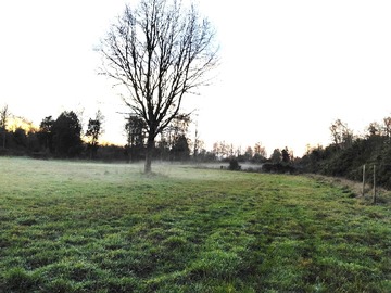 Terreno Agricola en venta en Santa Regina, La Unión