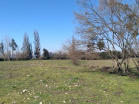 Parcela en venta en Camino a Yerbas Buenas, Linares