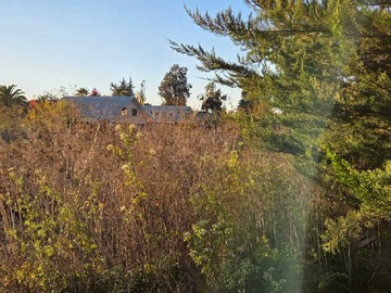 Terreno en venta en Oportunidad Única de Terreno Amplio (177242), Talagante