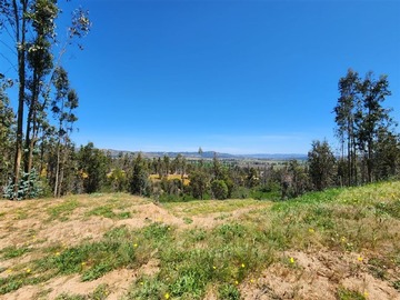 Parcela en venta en granja rancho grande, Pumanque