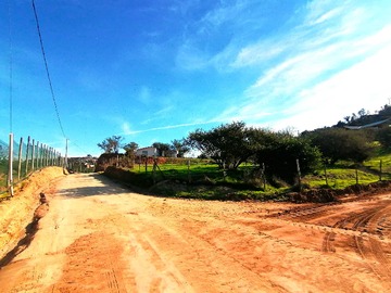 Terreno en venta en Limache/ v.Alem mejor precio parcela 5000 m2 (107710), Limache