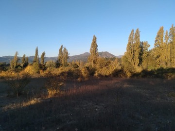 Parcela en venta en Colbún, Colbún - 3 dormitorios, 1 baño
