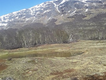 Venta / Sitio / Chile Chico