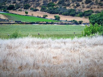 Terreno Agricola en venta en Lote 5 de parcelación 32, Rautén Bajo, El Huape, Quillota, Quillota