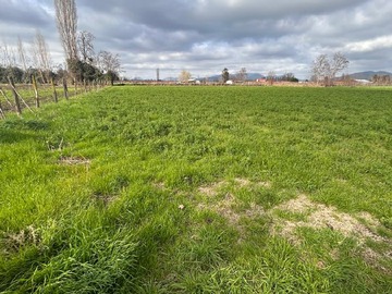 Parcela en venta en Terreno en Venta 12.000m2 Coltauco