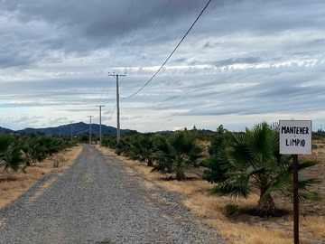 Terreno en venta en Se venden 2 parcela a elección de 5.000 m2 (145510), Linares