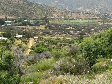 Terreno en venta en Excelente terreno (87359), Curacaví