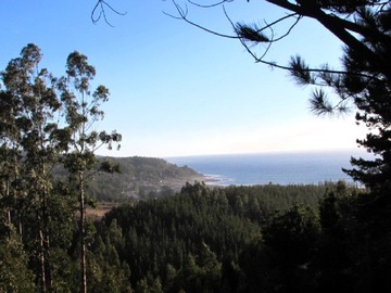 Terreno en venta en Cardonal / vista al mar / ideal subdividir (118351), Pelluhue