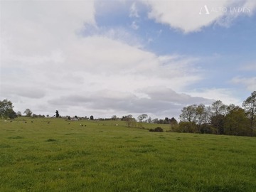 Venta / Sitio / Osorno