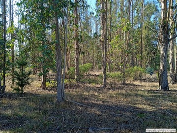 Venta / Terreno / Algarrobo