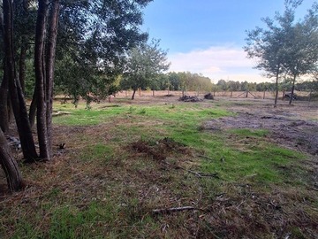 Parcela en venta en Charrua, Cabrero, Cabrero