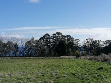 Terreno en venta en Opcion comercial o residencial (103534), Puerto Varas
