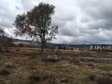 Parcela en venta en S-797, Villarrica