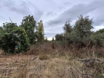 Terreno en venta en La capilla, Quillota