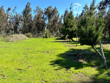 Parcela en venta en Camino Maria Dolores, sector Las Quintas, Los Ángeles - 3 dormitorios, 3 baños
