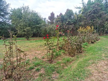 Terreno en venta en Terreno Ideal para Proyecto Familiar (159618), Paine - 3 dormitorios, 1 baño