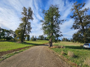 Parcela en venta en Avenida Padre Alberto Hurtado, Río Negro, Los Lagos 5390000, Chile, Osorno - 1 dormitorio, 1 baño