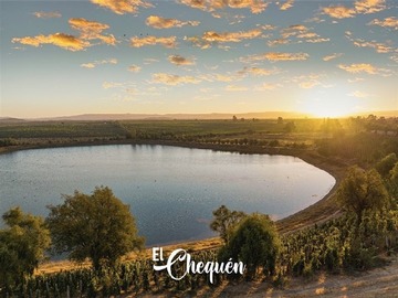 Parcela en venta en Marchigue, Marchigüe