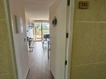 Departamento en arriendo mensual en Alicura - Condominio Los Castaños, Pucón - 1 dormitorio, 1 baño