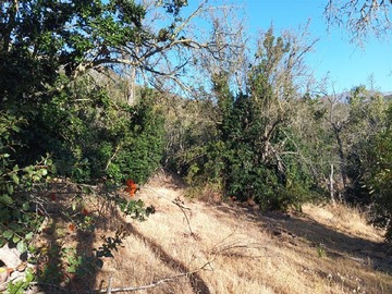 Sitio en venta en Camino La Chupalla Lote 12, Curacaví