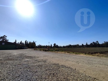Terreno Agricola en venta en La vilana, Lampa - 4 baños