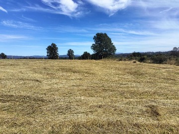 Terreno en venta en Venta parcela sexta faja entorno tranquilo (153553), Gorbea