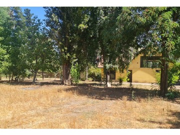 Venta / Terreno / Linares