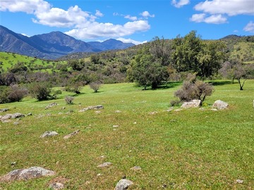 Parcela en venta en En venta campo de 70 ha. Apto parcelación de agrado, agricola, ganadera, turistica, Alhué