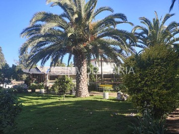 Venta / Terreno / Curacaví