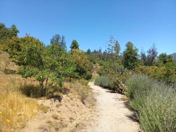 Sitio en venta en La peña / quebrada de alvarado, Olmué