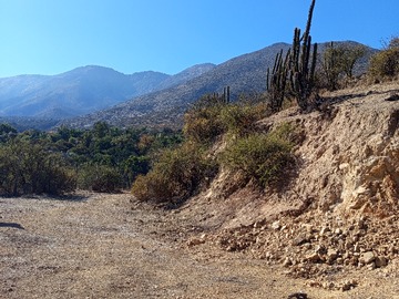 Terreno en venta en La aurora, Curacaví