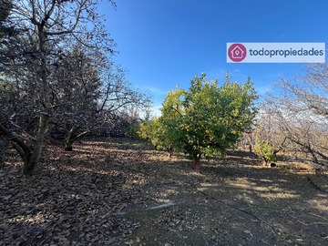 Terreno Agricola en venta en codegua, Codegua