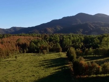 Sitio en venta en Camino el Pirao km 15. Villarrica / Puente Molco, Villarrica