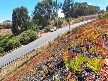 Terreno en venta en Terreno c. Vista al mar el yeco (66378), Algarrobo