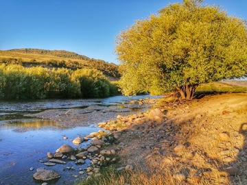 Parcela en venta en Se vende hermosa parcela en liucura - lonquimay, Lonquimay