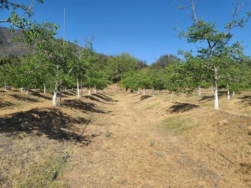 Parcela en venta en Lliu lliu, Limache