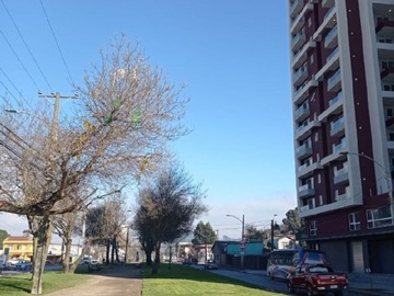 Departamento en arriendo mensual en Anibal pinto 1415, Concepción - 2 dormitorios, 2 baños