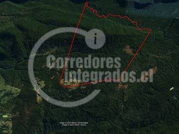 Venta / Terreno / Río Bueno