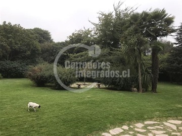 Casa en venta en Camino El Oliveto / Calera de Tango, Talagante - 6 dormitorios, 4 baños